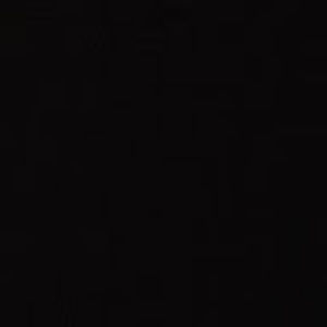 Meet your Posher, Bailey